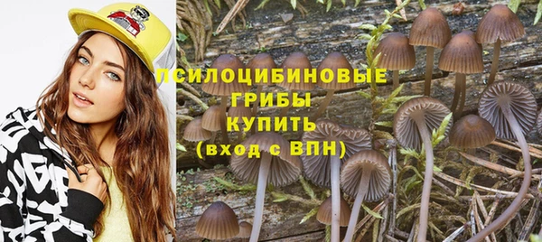 бошки Нея