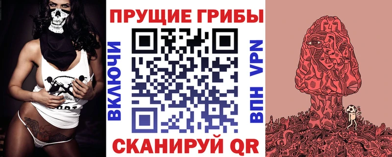 площадка как зайти  Красноуральск  Псилоцибиновые грибы прущие грибы 